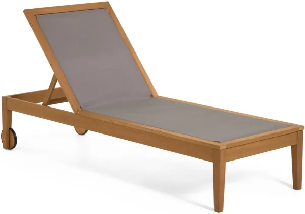 Caterin, Lettino da esterno, grigio, legno massiccio