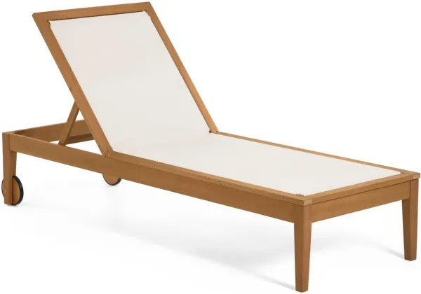 Caterin, Lettino da esterno, bianco, legno massello